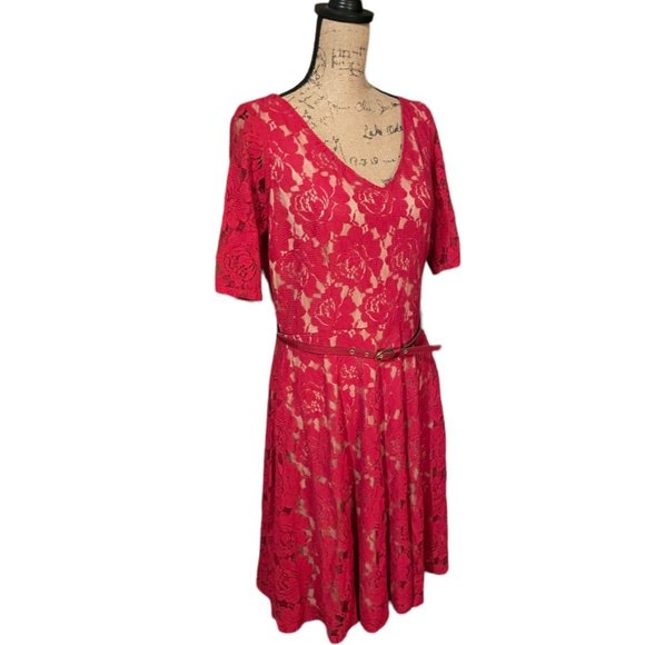 Danny And Nicole Lace Dress - Picture 4 of 8